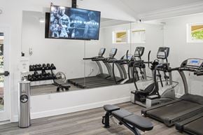 Bellevue apartment for rent - A gym with treadmills, a television, and a mirror.