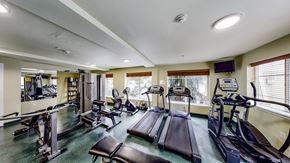 Shoreline apartment for rent - A fully equipped fitness center here at Forest Hills featuring treadmills, elliptical machines, and strength training equipment arranged across a spacious room. Large windows with blinds bring in natural light, while wall mirrors and mounted televisions create a functional and motivating workout environment.