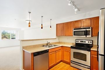 Shoreline apartment for rent - A kitchen with wooden cabinets and a black stove top oven.