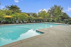 Mountlake Terrace apartment for rent - A large outdoor swimming pool surrounded by trees and umbrellas.