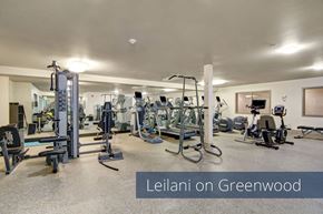 Seattle apartment for rent - A spacious fitness center here at Leilani on Greenwood featuring a variety of cardio machines, strength training equipment, and free weights arranged throughout an open, well-lit room with neutral flooring and ceiling lights, creating a convenient on-site workout space for residents.