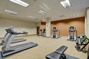 Kirkland apartment for rent - A spacious fitness center here at Ondine at Juanita Bay featuring treadmills, elliptical machines, stationary bikes, and free weights arranged across a wide open floor plan, with neutral carpet flooring, supportive workout benches, mirrored and accent walls, and bright overhead lighting creating a comfortable, well-equipped environment for daily exercise.