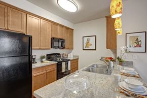 Moses Lake apartment for rent - A kitchen with a black refrigerator and a granite countertop.