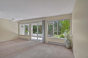 Lake Forest Park apartment for rent - A bright living room here at Watercrest with soft carpet, large windows, and a sliding glass door leading to a private balcony, allowing abundant natural light and creating a peaceful, open atmosphere.