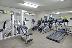 Lynnwood apartment for rent - A gym with a variety of equipment including treadmills, stationary bikes, and weight machines.
