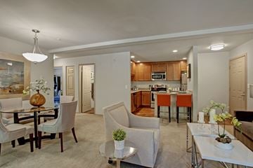 Issaquah apartment for rent - A modern living room with a dining table and chairs.
