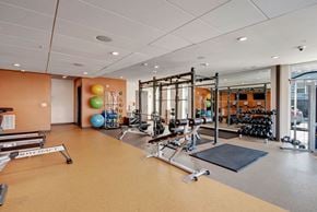 Milwaukee apartment for rent - A gym with a variety of equipment including a squat rack, dumbbells, and a bench.