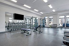 Fitchburg apartment for rent - A modern fitness center here at The Lafayette with weight machines, free weights, and workout benches. A large mirror wall, mounted TV, and bright windows create an open, energizing workout space.