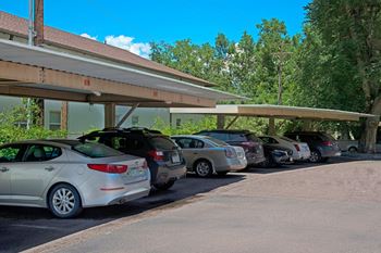 Cheyenne creek cars parked under shade