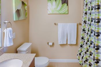 Granite countertops and stainless accessories