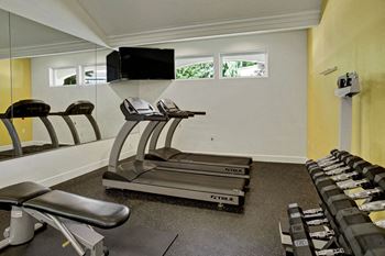 Two treadmills, a bench, scale, and selection of free hand weights