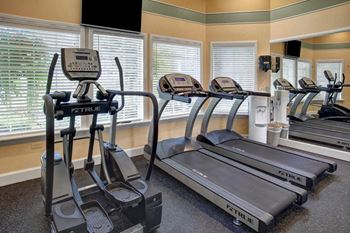 Two treadmills and elliptical with flat screen tv