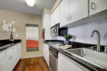 Galley kitchen with tons of storage
