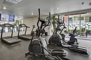 Two ellipticals, two treadmills, and two bikes with a flat screen tv