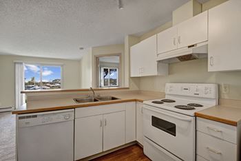 Ample kitchen cabinet space