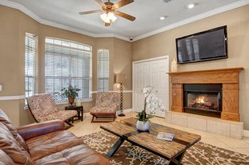 Gas fireplace