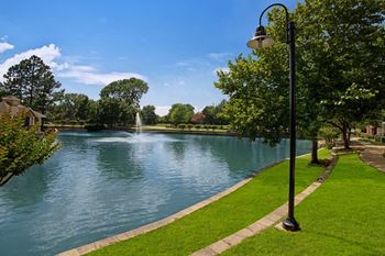Pond