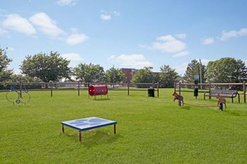 Pet play area/ dog park