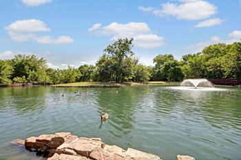Pond