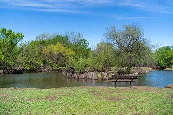 Pond