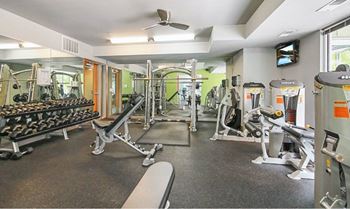 Gym-quality fitness