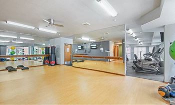 Gym-quality fitness