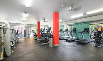 Gym-quality fitness
