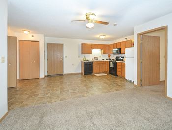 Ceiling fan