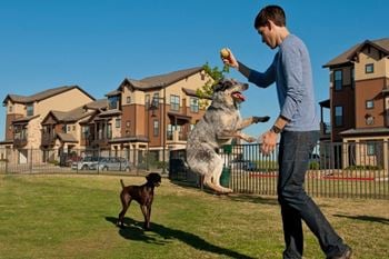 Enclosed pet parks
