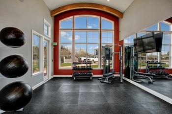 Free weights