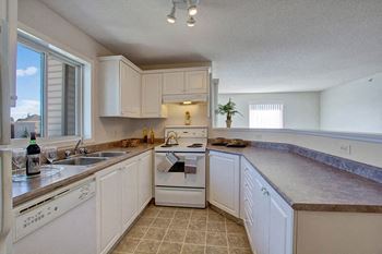 Gas range/stove