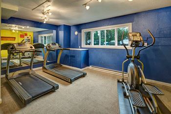 Terrace on the lake apartments - fitness center