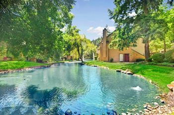 Serene pond with fountains