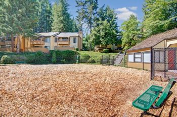 Pet play area/ dog park