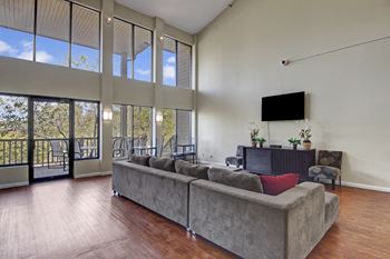 Town centre common area with outdoor view, couch, and television