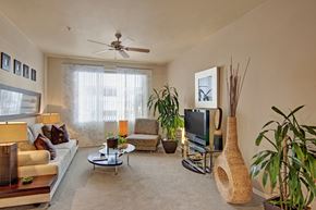 Peoria apartment for rent - A living room with a couch, a coffee table, and a television.