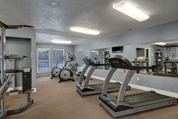 Windtree cardio equipment