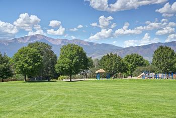 Windtree field & mountain view