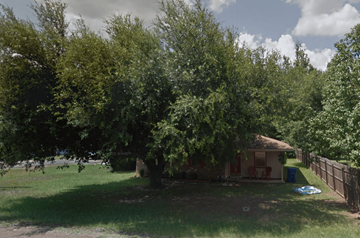 Arcadia apartment for rent - a large tree in front of a house