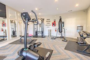 Corpus Christi apartment for rent - A gym with a variety of equipment including treadmills, weights, and exercise machines.