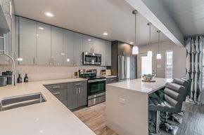Dallas apartment for rent - Designer kitchen with quartz countertops and stainless-steel appliances in Dallas apartment
