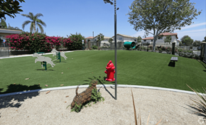 Rialto apartment for rent - Dog Park at Bella Park Apartments, Rialto, California