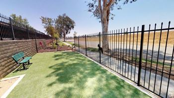 Bark park