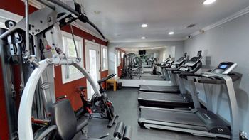 24-Hour multi-level cardio