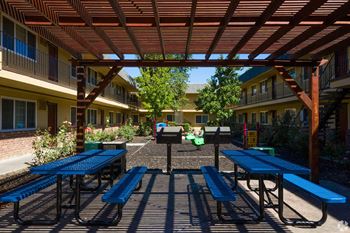 Bbq/picnic area