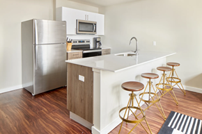Philadelphia apartment for rent - Kitchen
