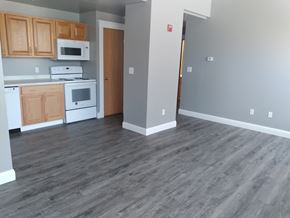 Fort Dodge apartment for rent - an empty kitchen with wood flooring and white appliances