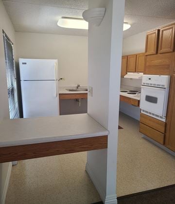 Springfield townhouse for rent - a kitchen with a refrigerator and a stove and a sink