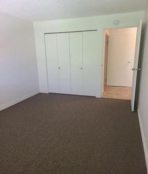 Springfield townhouse for rent - an empty room with a carpeted floor and a white closet with a door open