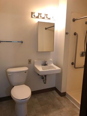 Cedar Rapids apartment for rent - A white toilet sits next to a sink in a small bathroom.